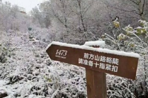 2017关于北京下雪的个性心情说说 20107北京现在下雪了吗