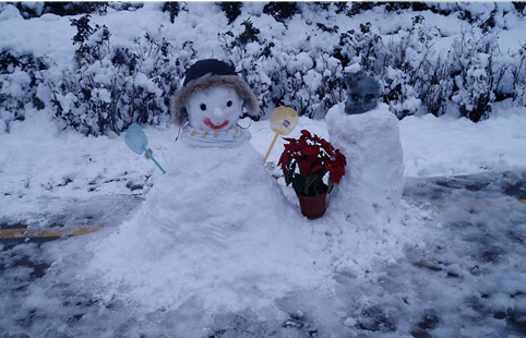 2018形容第一场雪的心情说说 第一场雪的说说心情短语
