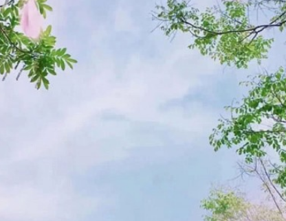 2019五月第一天唯美心情说说 5月来了微信说说大全