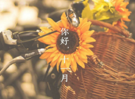 十月再见十一月你好的心情说说大全 2018迎接十一月的早安心语