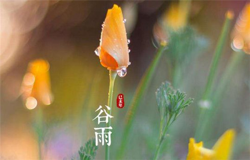 2018谷雨来了的心情说说 关于谷雨节气的心情短语