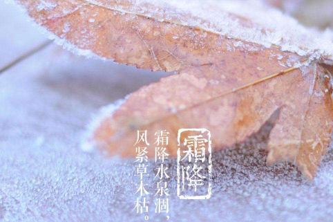 2017有关霜降的心情说说短语 关于霜降的唯美句子
