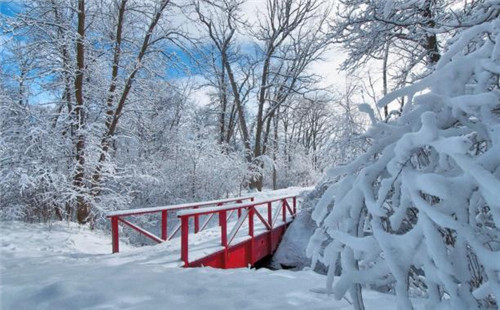 下雪了的说说心情短语2018图片 下雪说说带图片简短精选