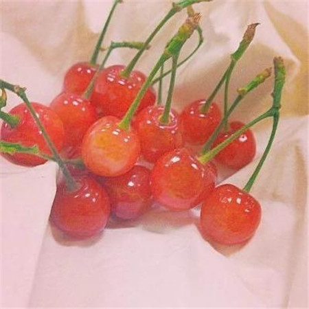 2019十一月唯美风景图片精选