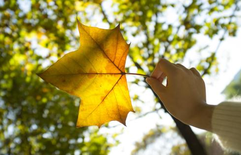 女生很阳光很温暖的微信名字2018最新 雨天里的阳光